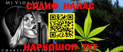 МДПВ Гусев