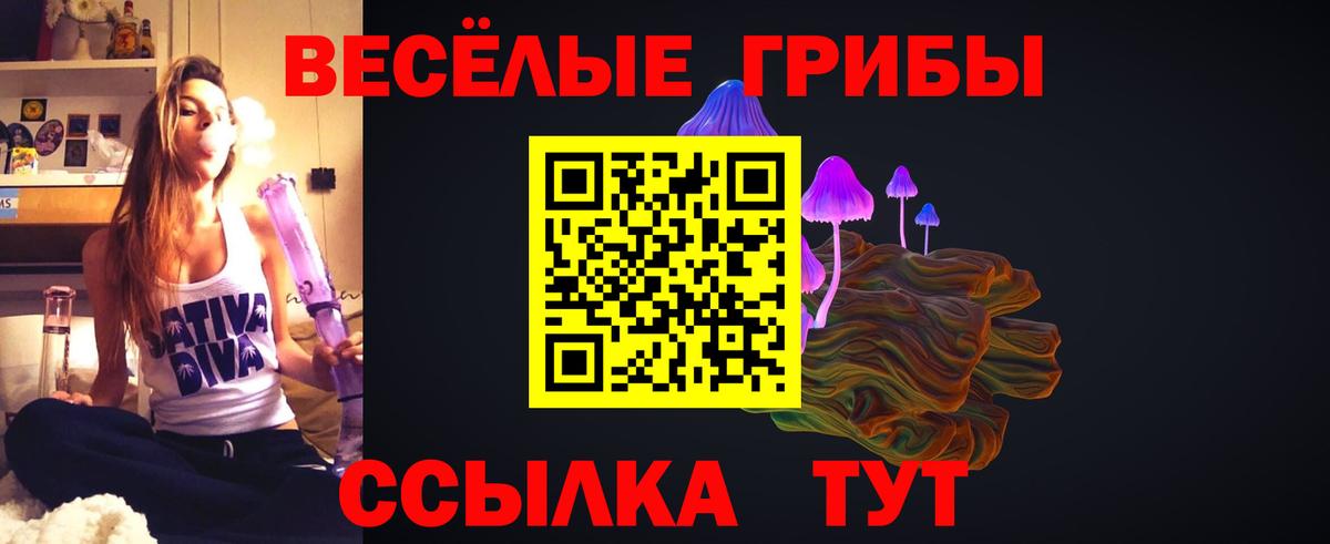 Псилоцибиновые грибы Psilocybine cubensis  Вход с VPN  Новоалтайск 
